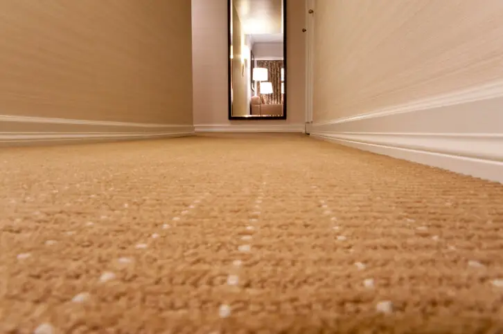 Carpet Cleaning Company in Beltsville, MD