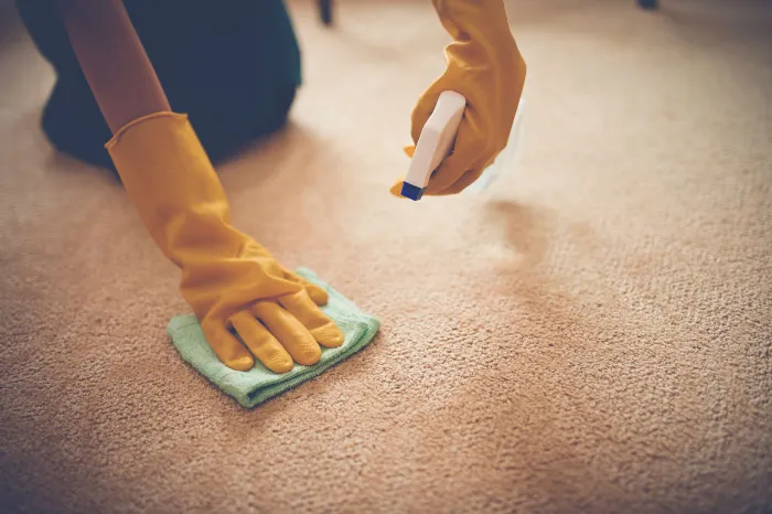 Preparing Carpets for Inspection with Move-Out Cleaning Beltsville, MD