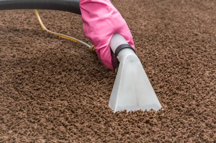 The Importance of Carpet Cleaning for a Healthier Living Space in Beltsville, MD