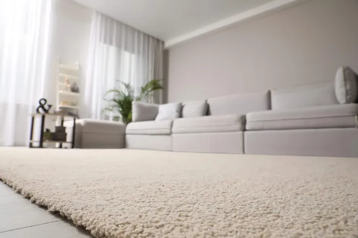 Why Carpet Cleaning Is Key for Move-In Readiness in Beltsville, MD Why Carpet Cleaning Is Key for Move-In Readiness in Beltsville, MD